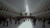 For One Day a Year, The Oculus Opens Its Eye to The Sky