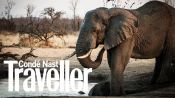 The most incredible safari in Zimbabwe