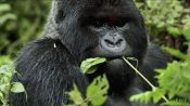 Rwanda, Africa
