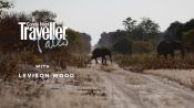 Levison Wood on what it’s like to follow elephants across Botswana