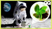 月球種菜可實現？NASA「阿提米絲計畫」在太空種出植物 How Growing Plants is Different on the Moon｜科普長知識｜GQ Taiwan
