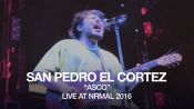 San Pedro El Cortez perform "Asco" at NRMAL 2016