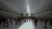 For One Day a Year, The Oculus Opens Its Eye to The Sky