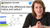 Cannabis Scientist Answers Questions From Twitter
