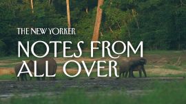 Notes from All Over