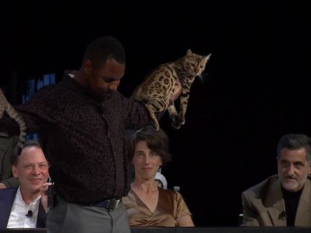 Watch The New Yorker Festival Are Cats Better Than Dogs The