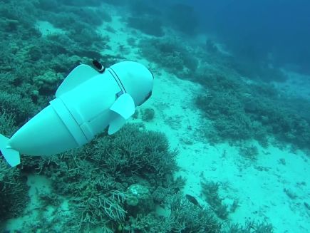 Watch Watch Mit S Hypnotic Robot Fish Swim A Coral Reef Wired