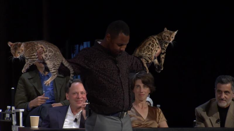 Watch The New Yorker Festival Are Cats Better Than Dogs The