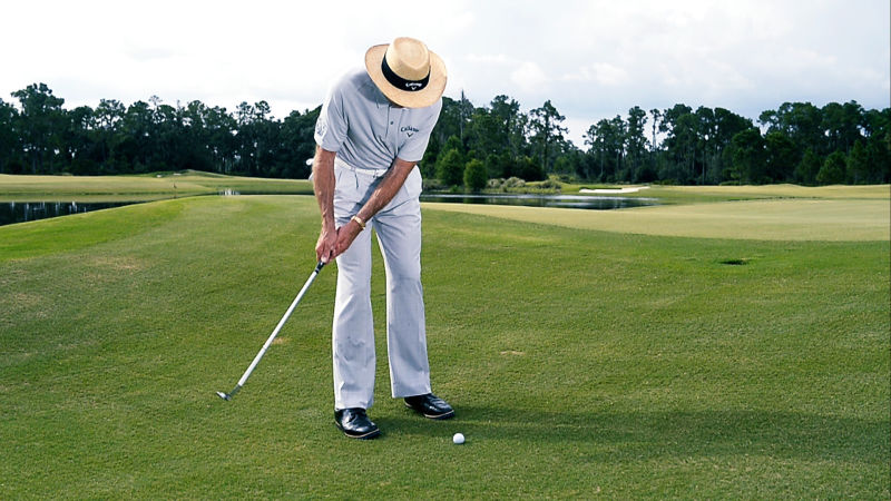 david leadbetter golf shorts