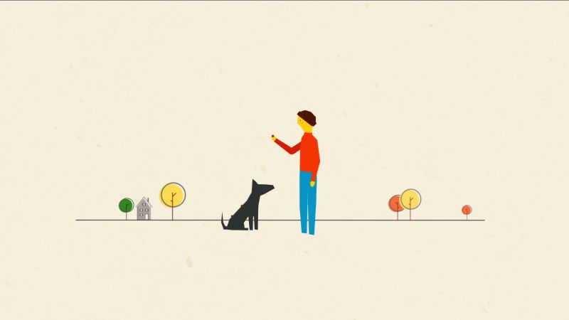 Watch Think Like A Tree How A Dog Inspired Velcro And A
