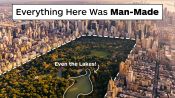 How Central Park Was Created Entirely By Design and Not By Nature
