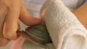 How to Open Oysters and Clams