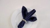 How to Do an Orchid Napkin Fold