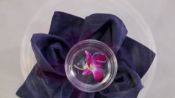 How to Do a Lotus Napkin Fold