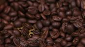 Gevalia: Roasting Coffee Beans to Perfect a Smooth Finish