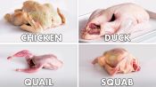 How To Butcher Every Bird