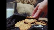 Вкусное и полезное овсяное печенье