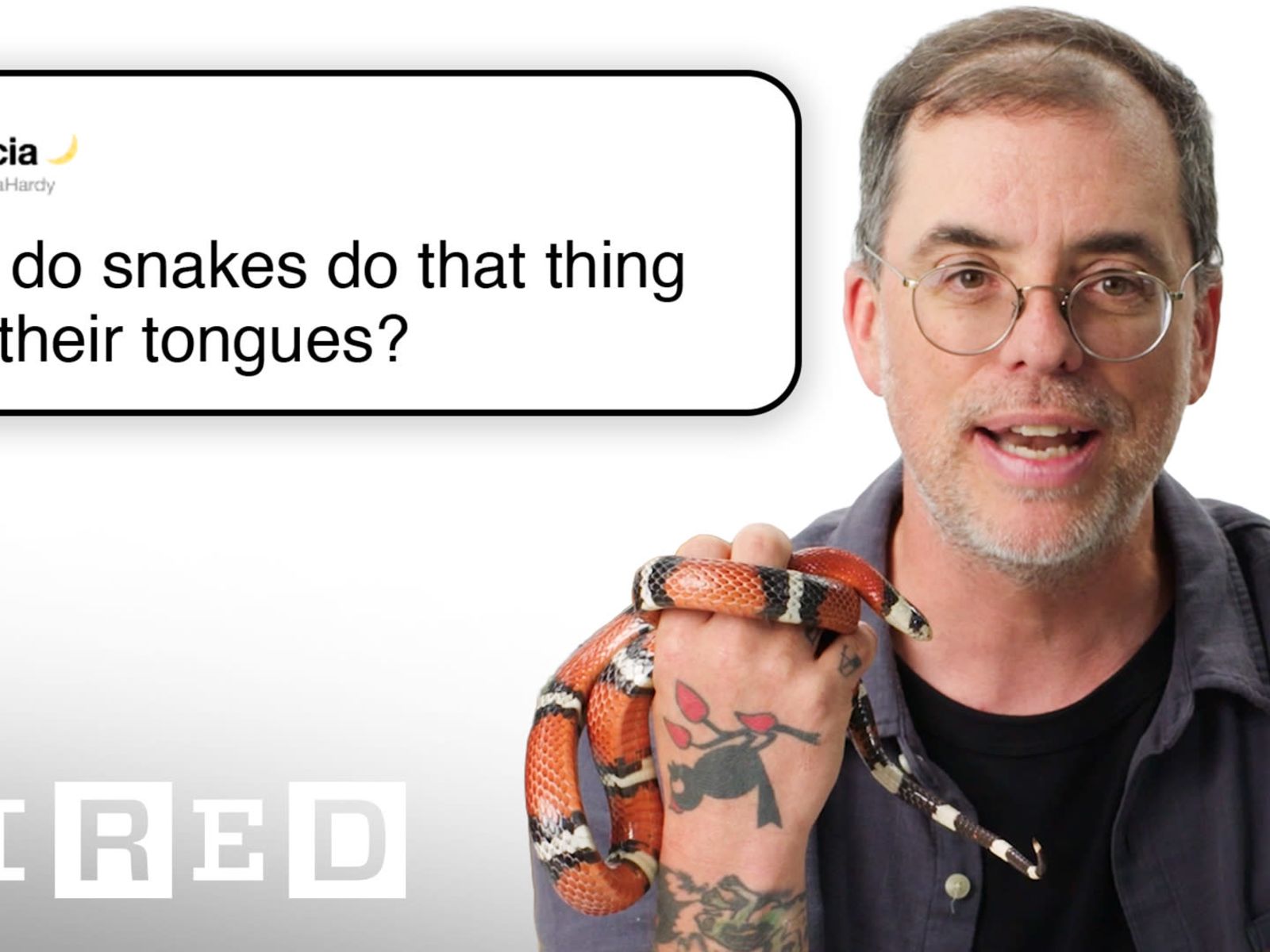 Herpetologist Answers Snake Questions