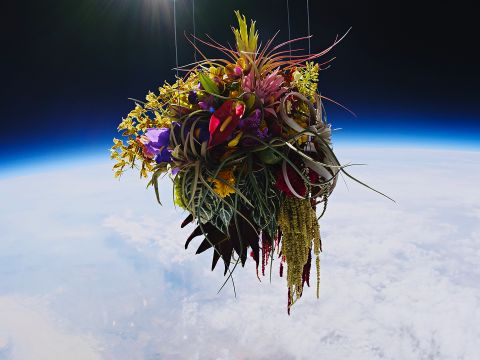 The Japanese Artist Who Sends His Work to Space