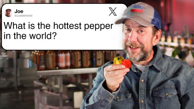 Pepper X Creator Ed Currie Answers Pepper Questions From Twitter