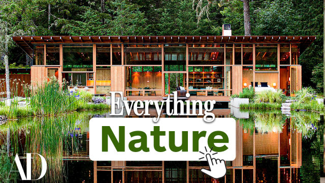 Inside Stunning Homes That Embrace Nature