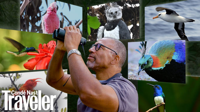 Christian Cooper’s Guide to Birding Around the World