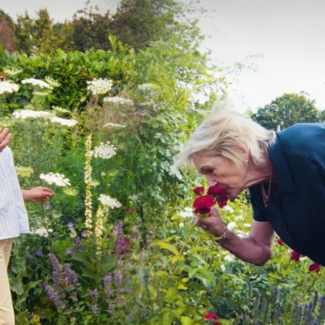 Inside 8 breathtaking gardens (compilation)