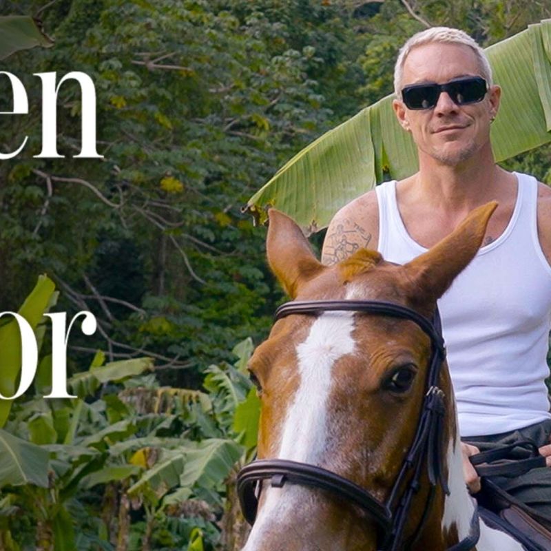 Inside Diplo's Jamaican Jungle Paradise