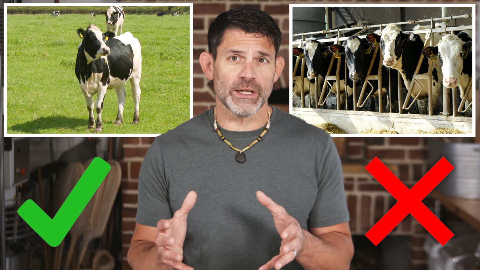 What Did We Do Wrong With Dairy Products?