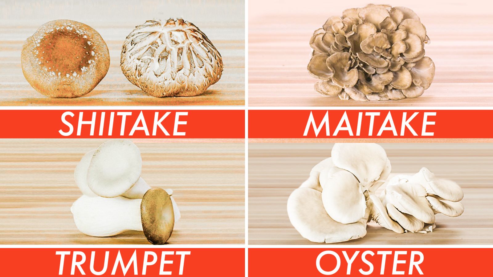 Picking The Right Mushroom For Every Recipe - The Big Guide