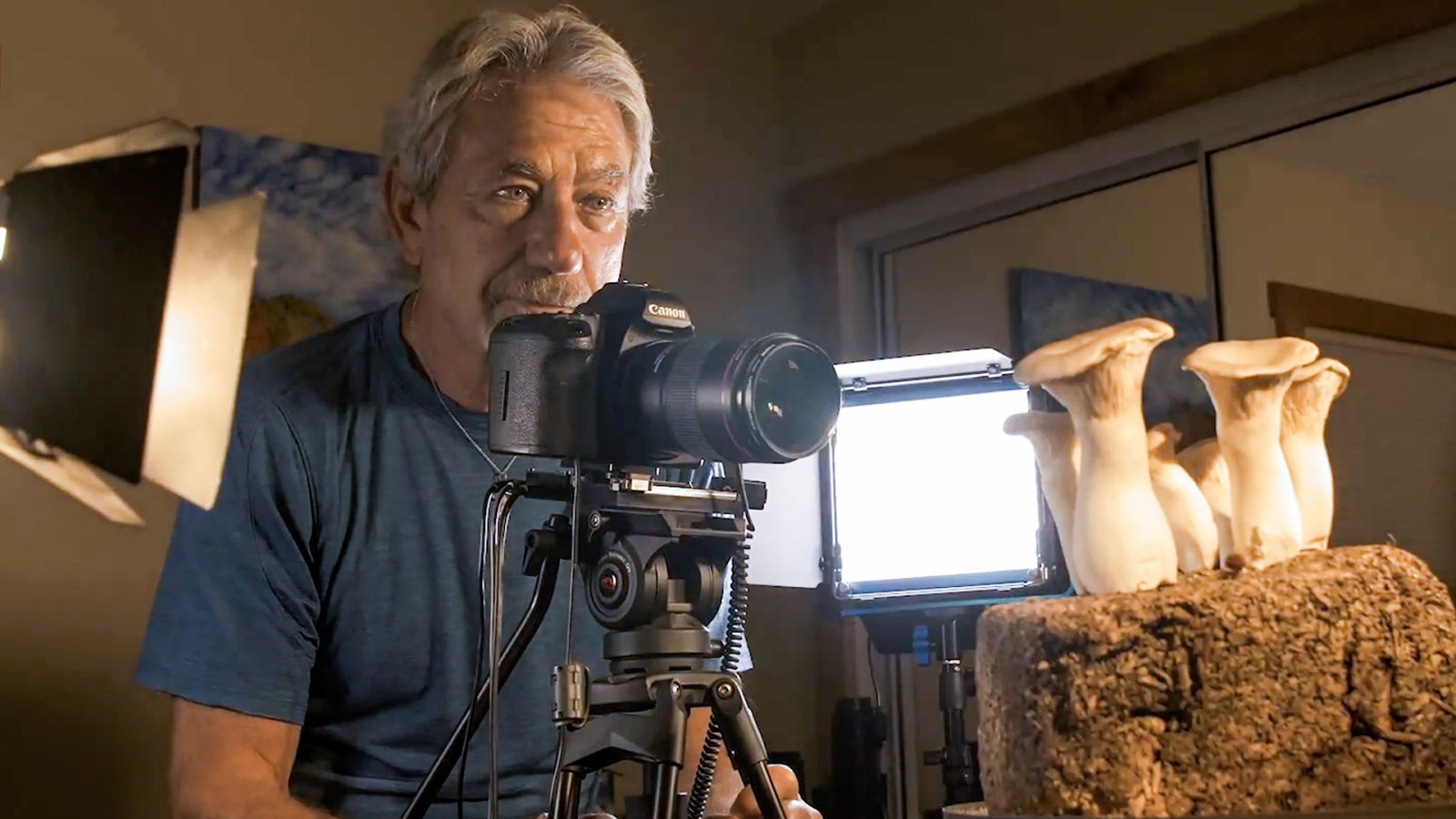 How Mushroom Time-Lapses Are Filmed