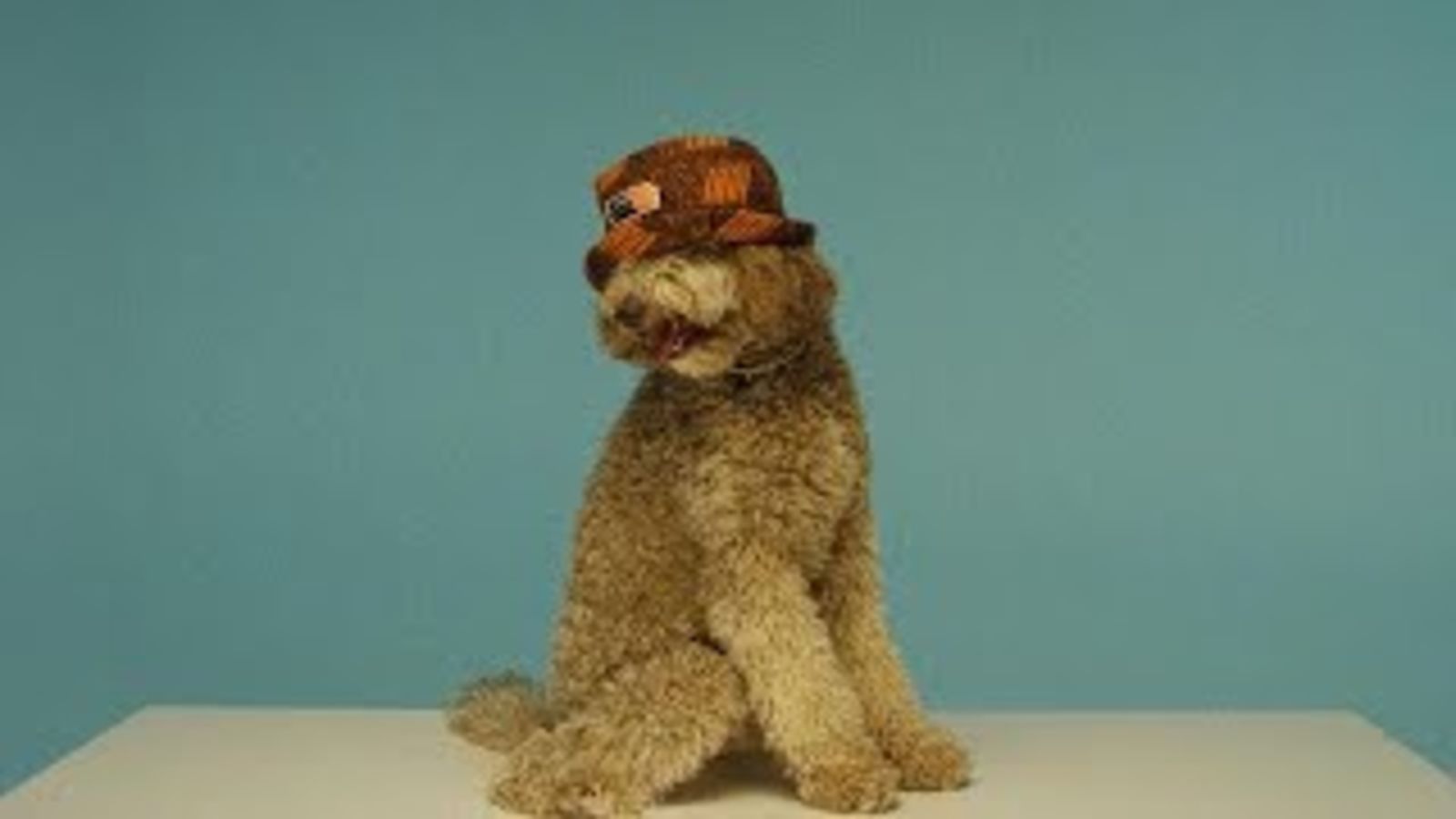 Самые модные панамы этого лета