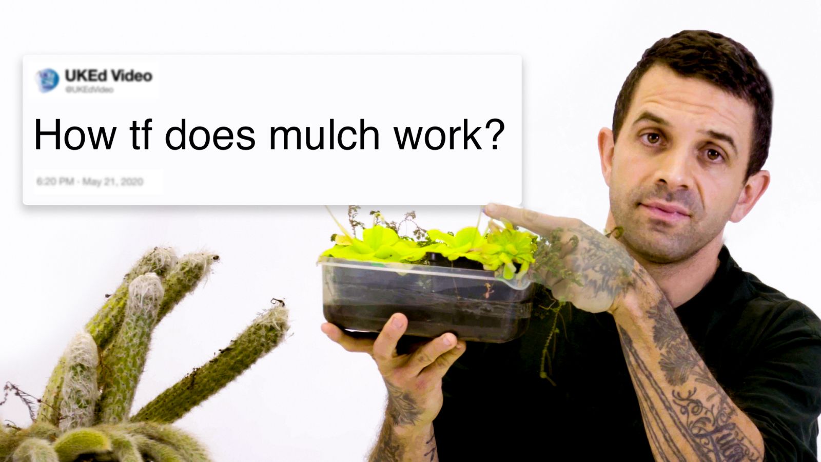 Botanist Answers Plant Questions From Twitter