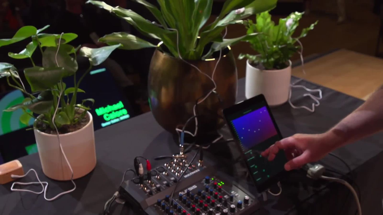 RE:WIRED GREEN 2022: THE MUSIC OF PLANTS
