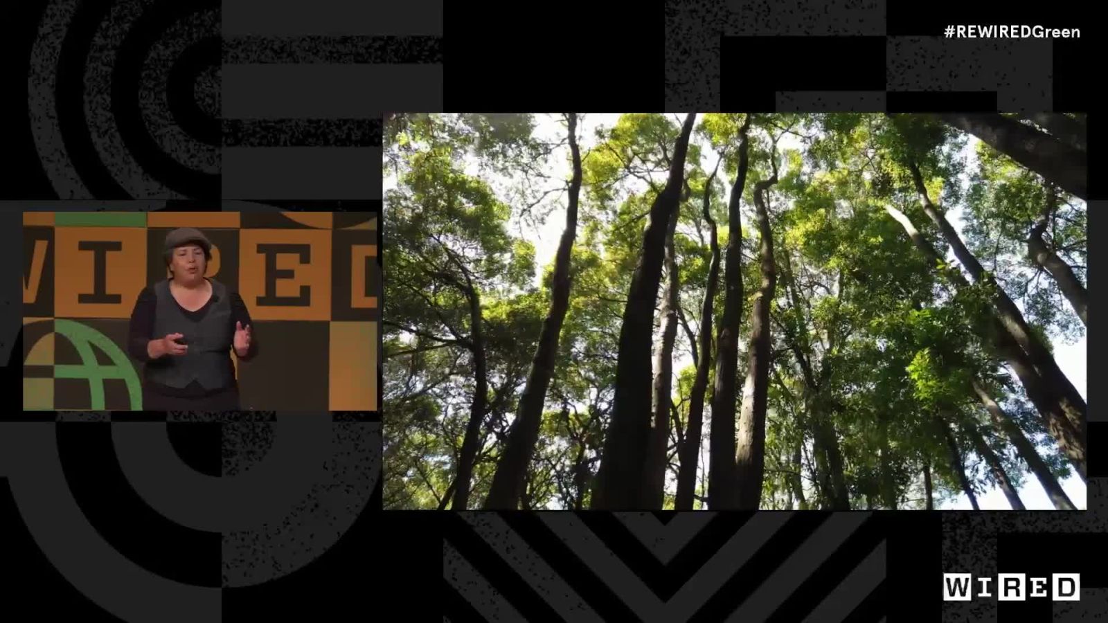 Re:WIRED GREEN 2022: Camille Seaman Discusses Her Most Striking Photos