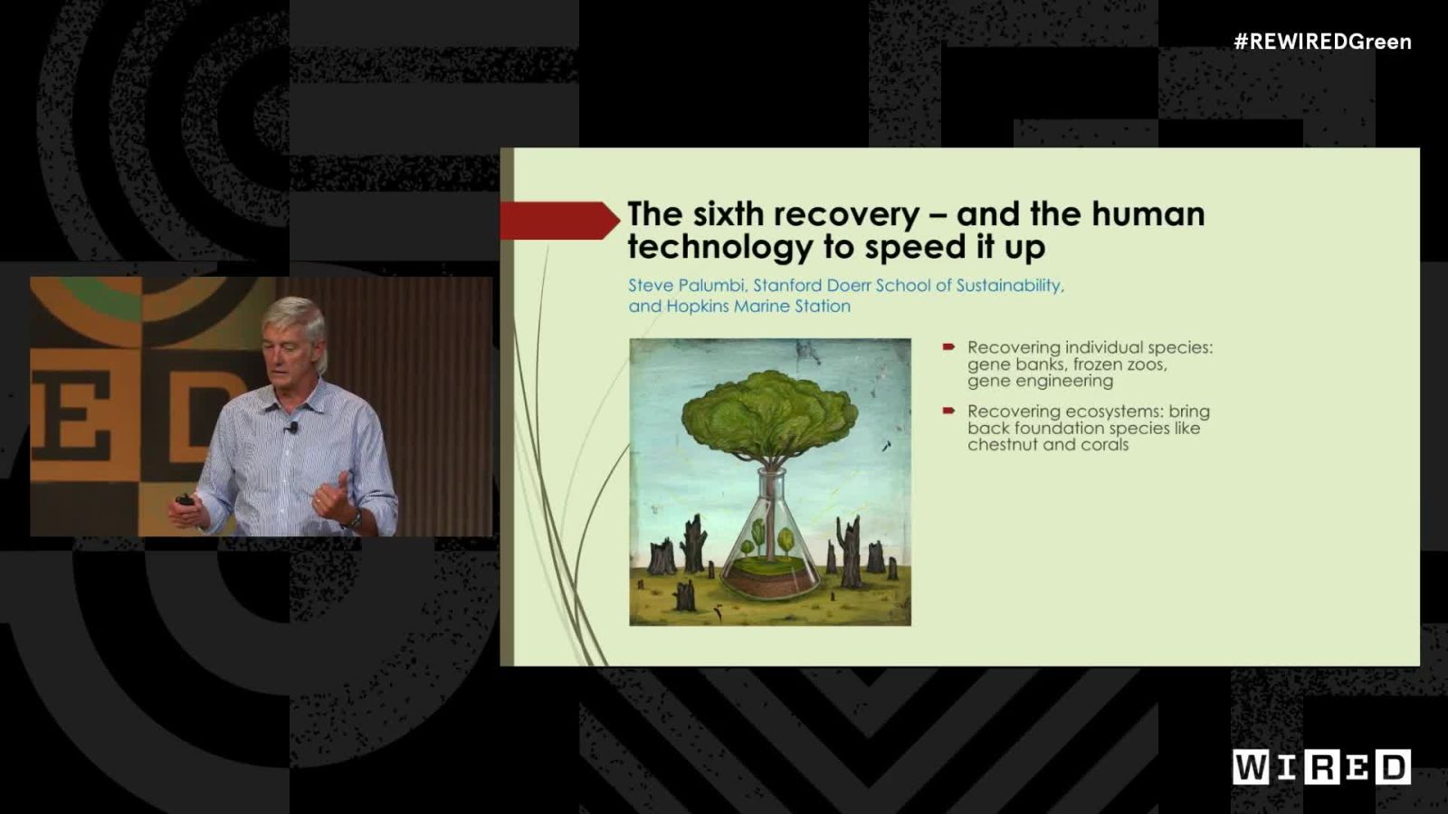 Re:WIRED GREEN 2022: Steve Palumbi discusses the "6th Recovery" and how technology can help accelerate it.