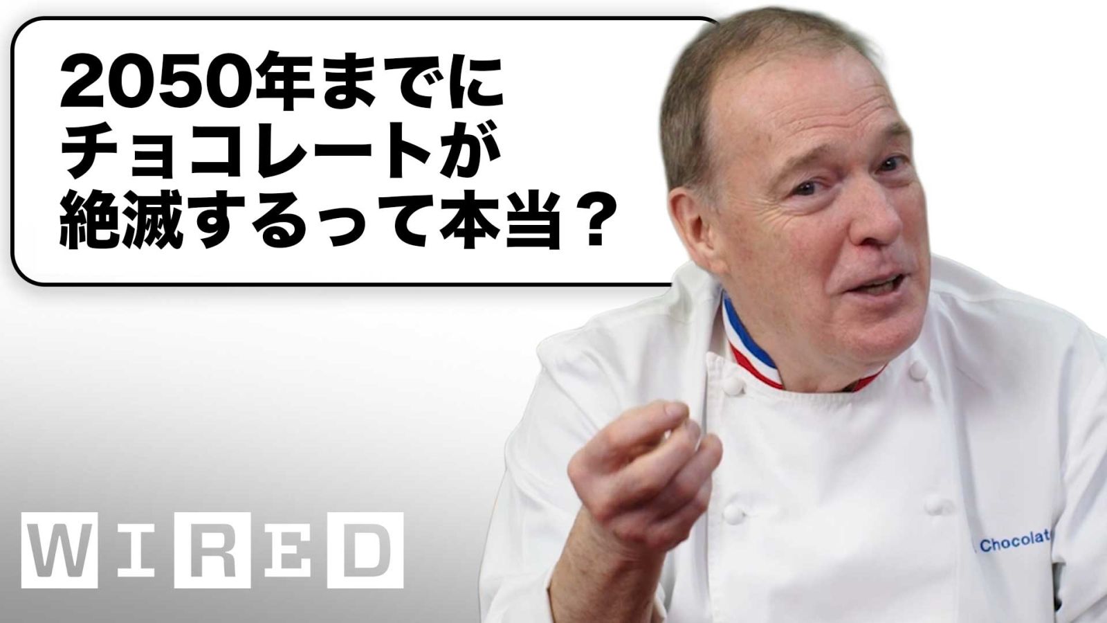 ショコラティエだけど質問ある？ | Tech Support | WIRED Japan