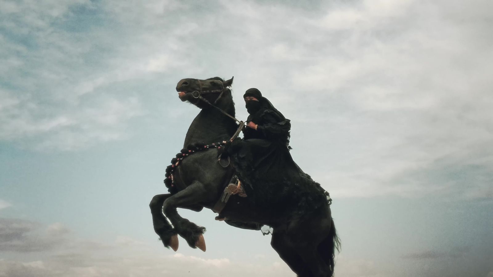 Salma Tahri’s World of Arabian Horses