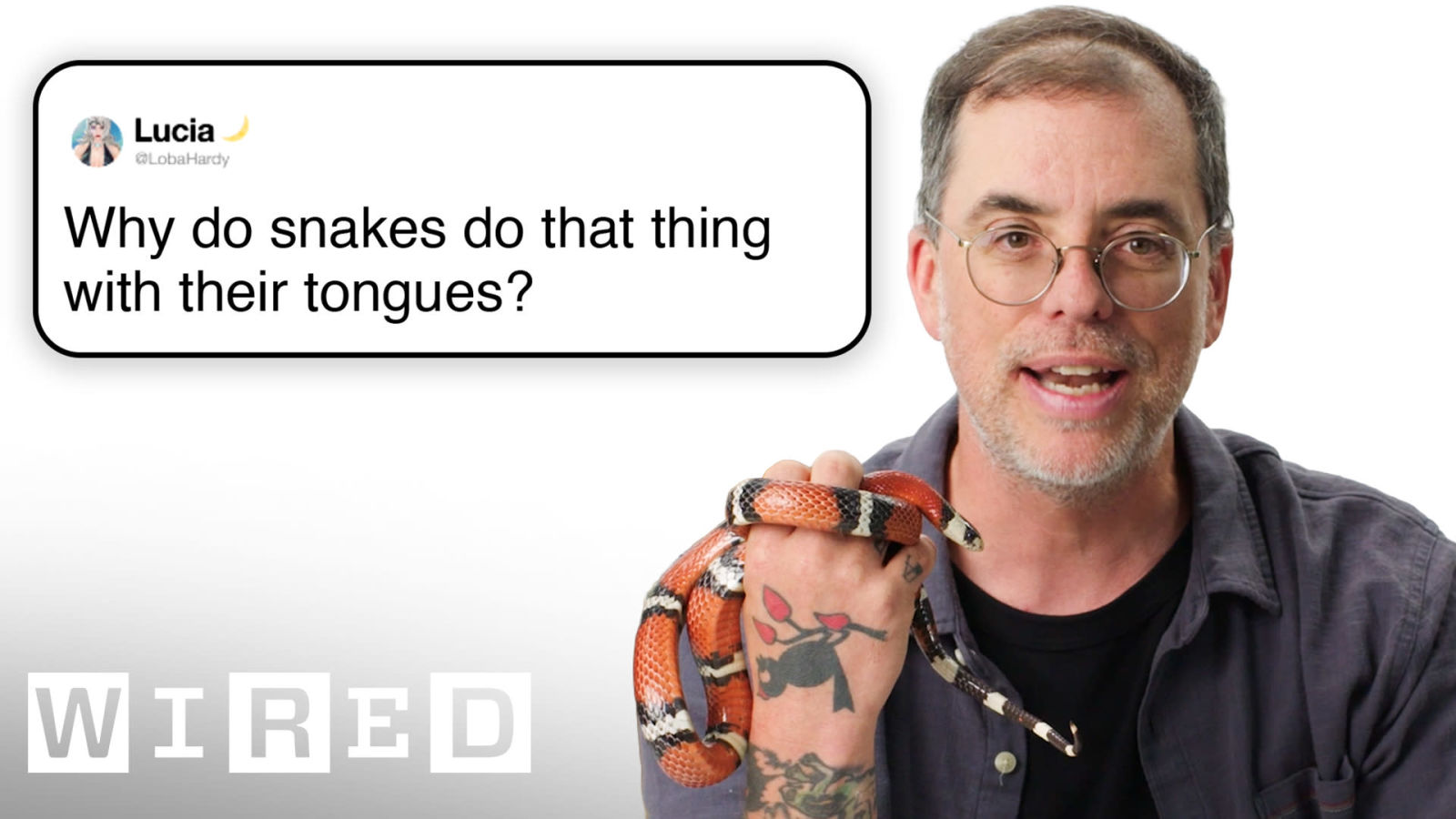 Herpetologist Answers Snake Questions