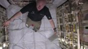 NASA Twin Study: How Space Changes Our Bodies
