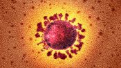 Q&A: What's Next for the Coronavirus Pandemic?