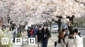 韓国の街はいま、“日常“を徐々に取り戻しつつある：新型コロナウイルスの新規感染が低水準で推移する国の現在