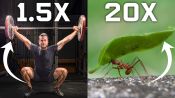 Why Humans Can’t Lift as Much as Ants (And How We Could)