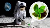 How NASA Biologists Plan to Grow Plants on the Moon