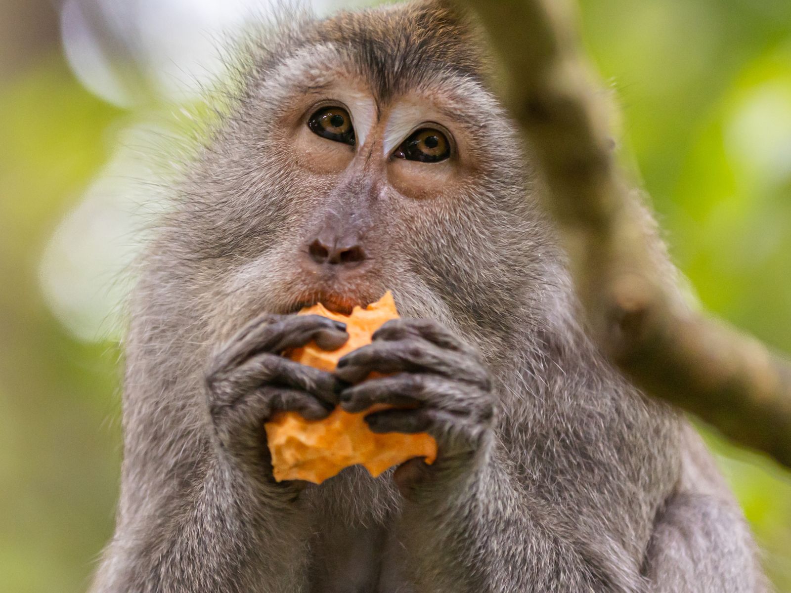 Ya sabemos por qué procrastinamos