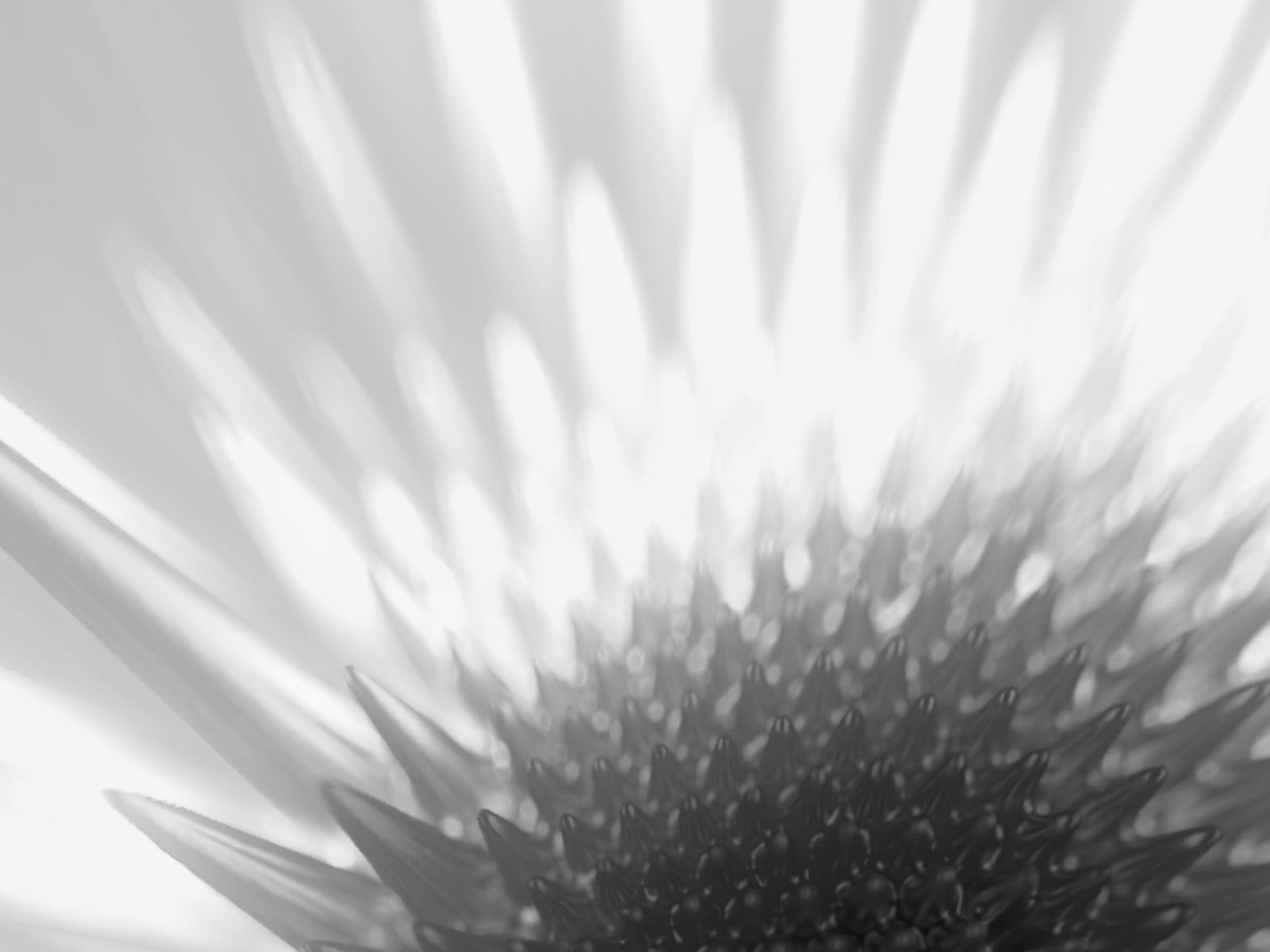 La tecnología que podría frenar un derrame antes del desastre