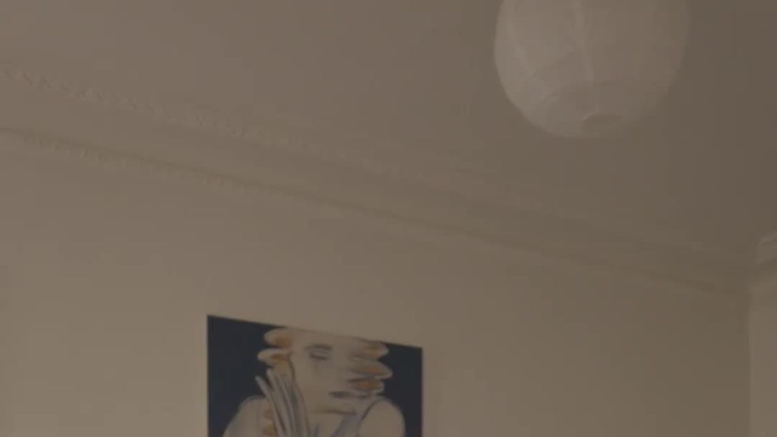 Dans l'appartement de Sophie Dries