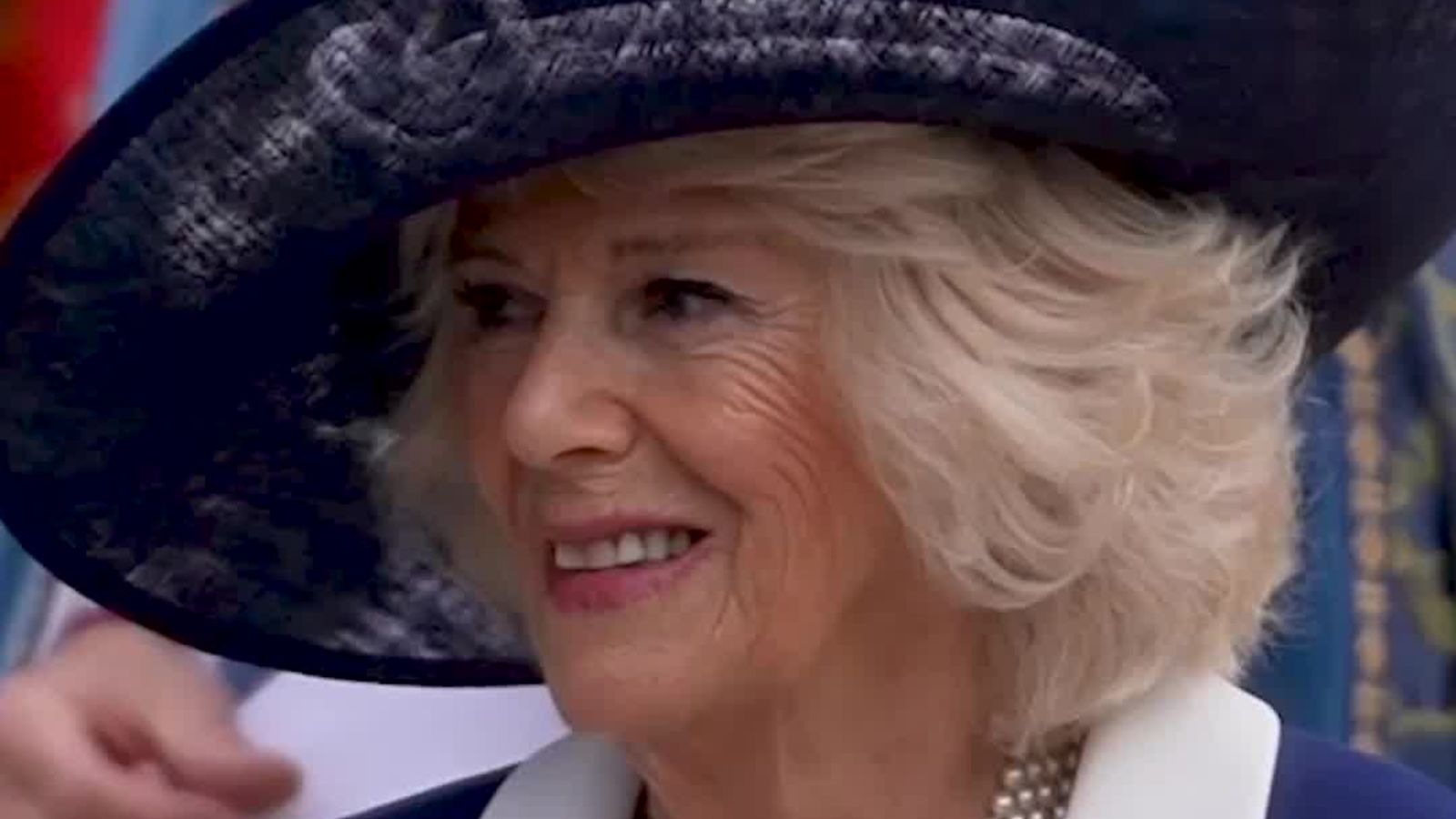Queen Consort Camilla's Life As A Royal