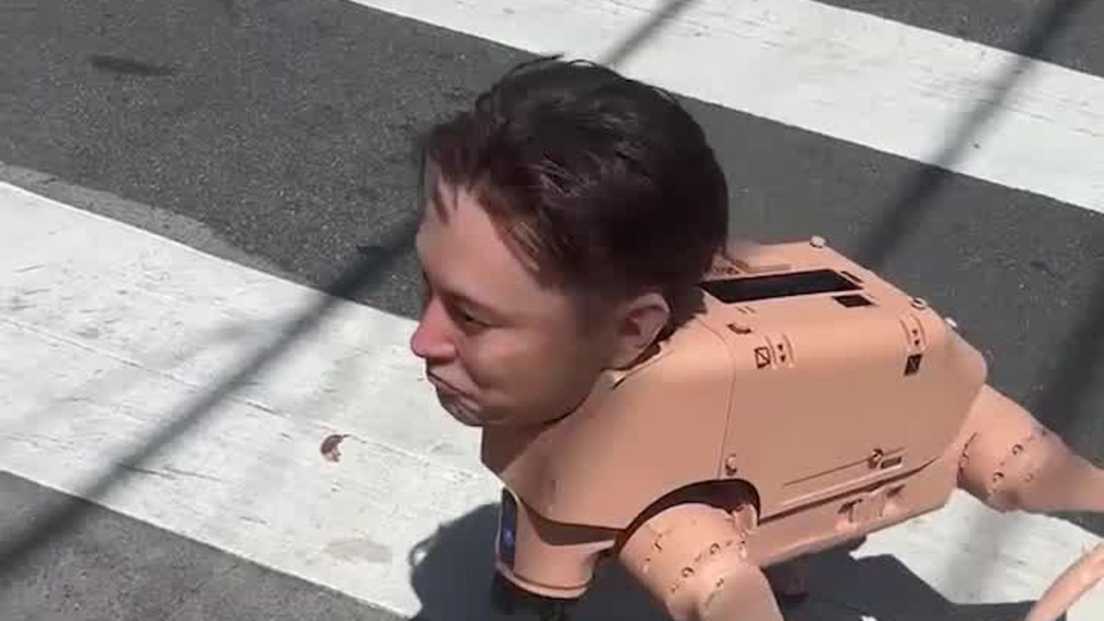 Elon Musk Robot Dog Found Wandering Streets Of San Francisco