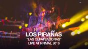 Los Pirañas perform "Las Olfateadoras" at NRMAL 2016